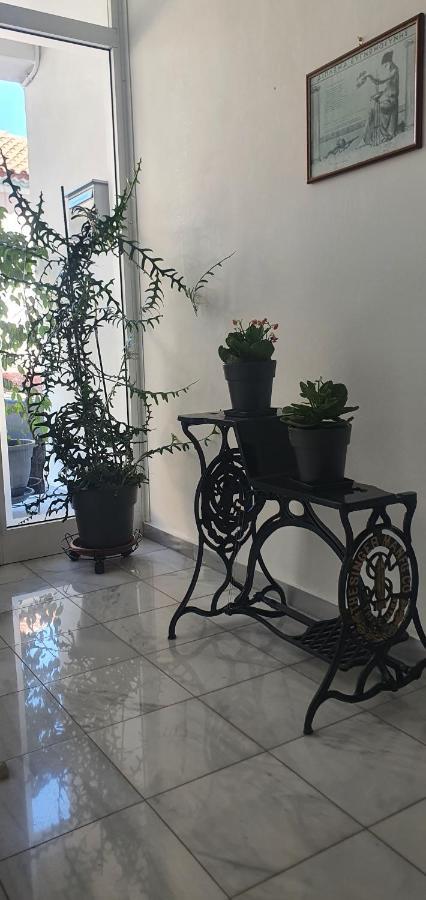 City Garden Превеза Екстер'єр фото